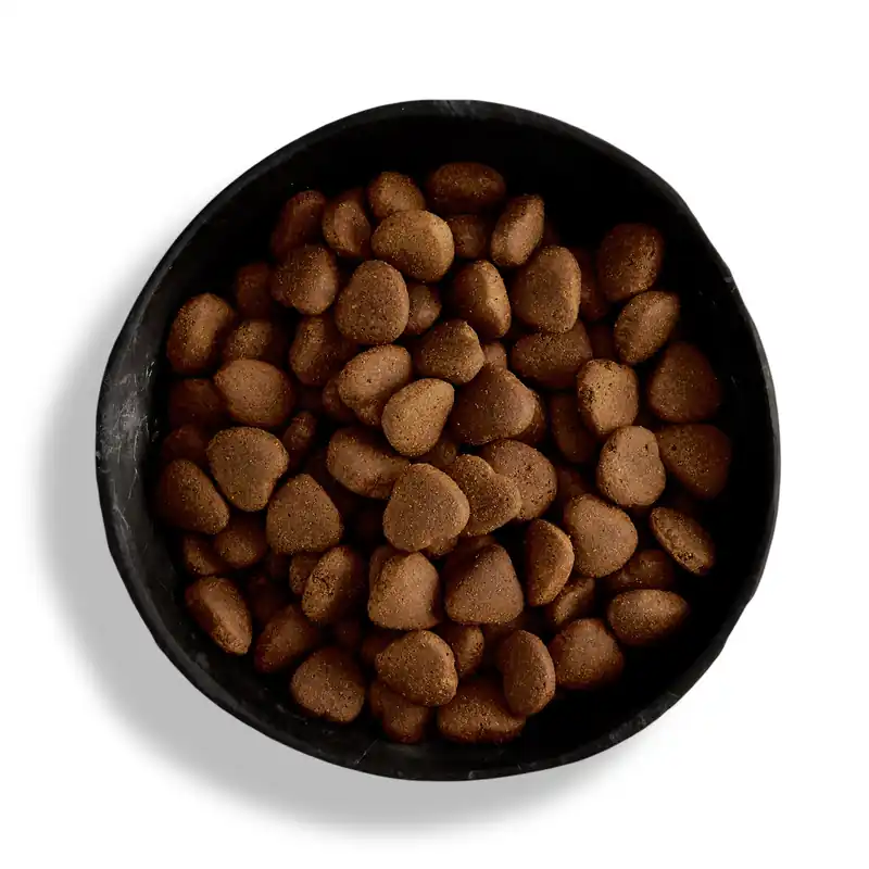 Neue Ware Canagan Large Breed FreeRun Chicken Dogs 12 Kilogramm Hundetrockenfutter